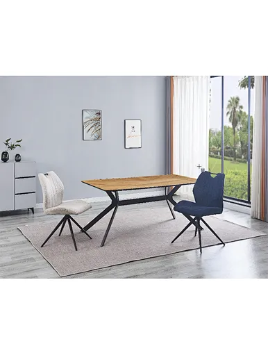 dining chair steel chair